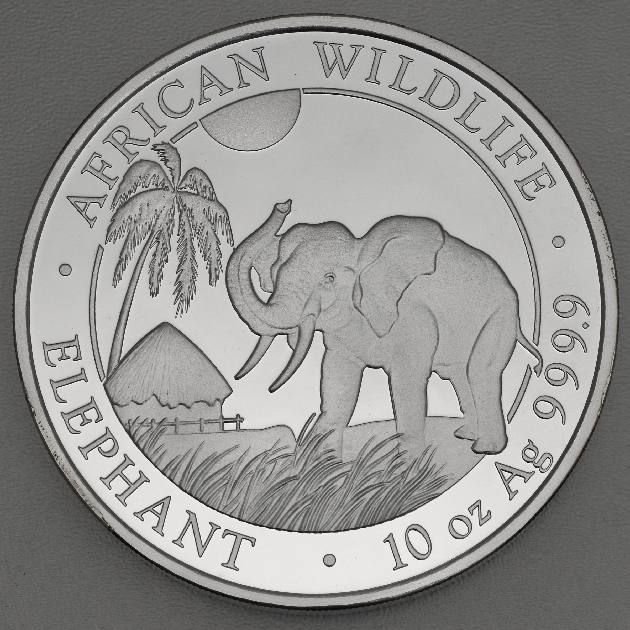 Silbermünze 10oz "Elefant" 2017 African Wildlife (Somalia) - Hauptansicht