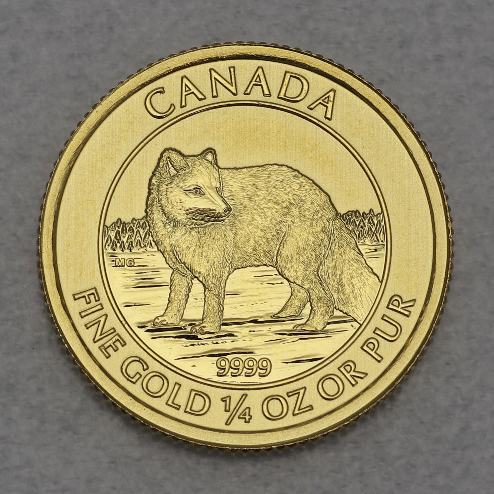Goldmünze 1/4oz "Polarfuchs" 2014 (Kanada) - Hauptansicht