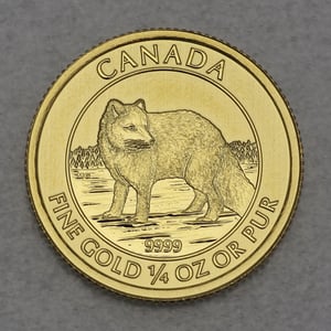 Goldmünze 1/4oz "Polarfuchs" 2014 (Kanada) - Hauptansicht
