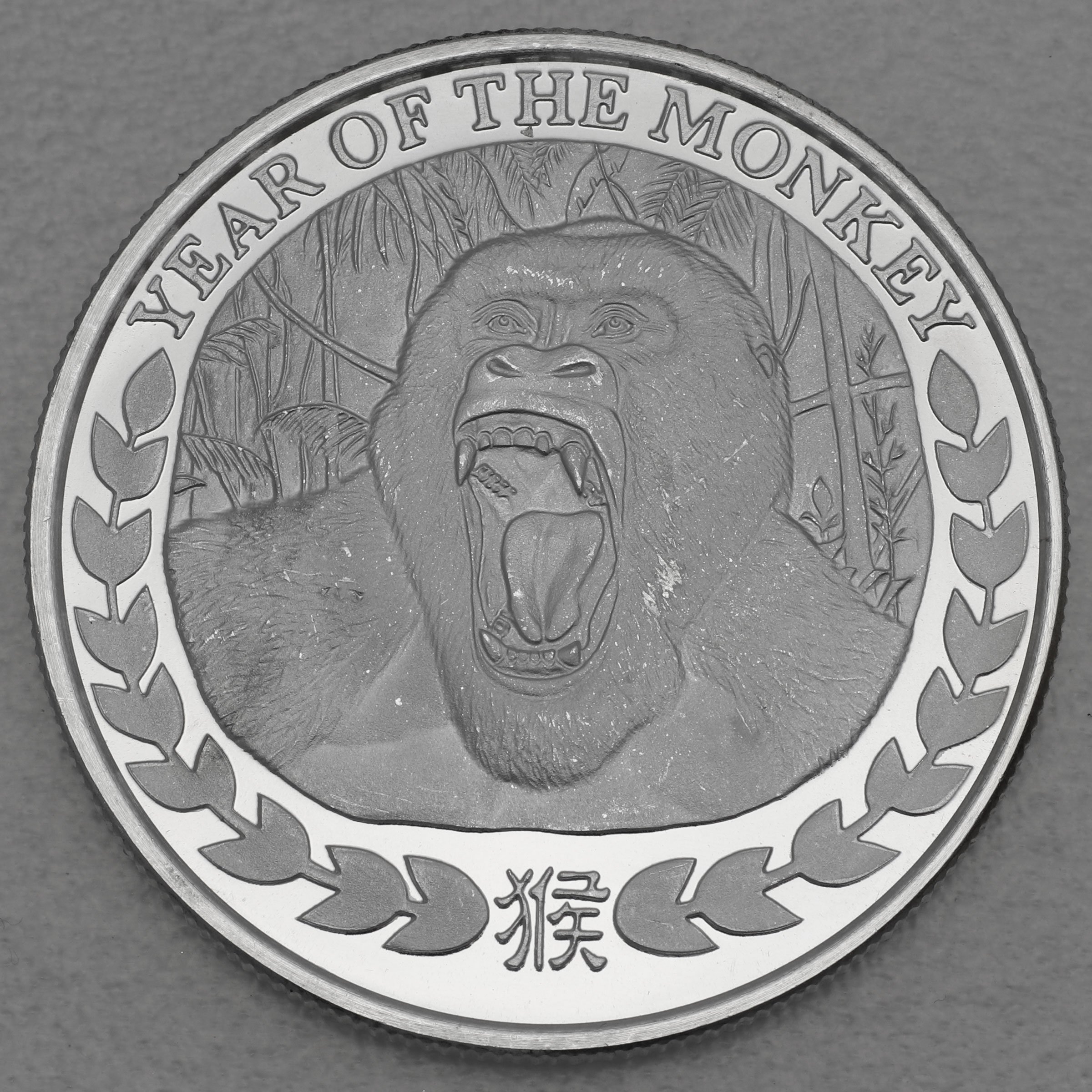 Silbermünze 1oz "Affe" 2016 Somaliland Lunar – Year of the Monkey (Somalia) - Hauptansicht