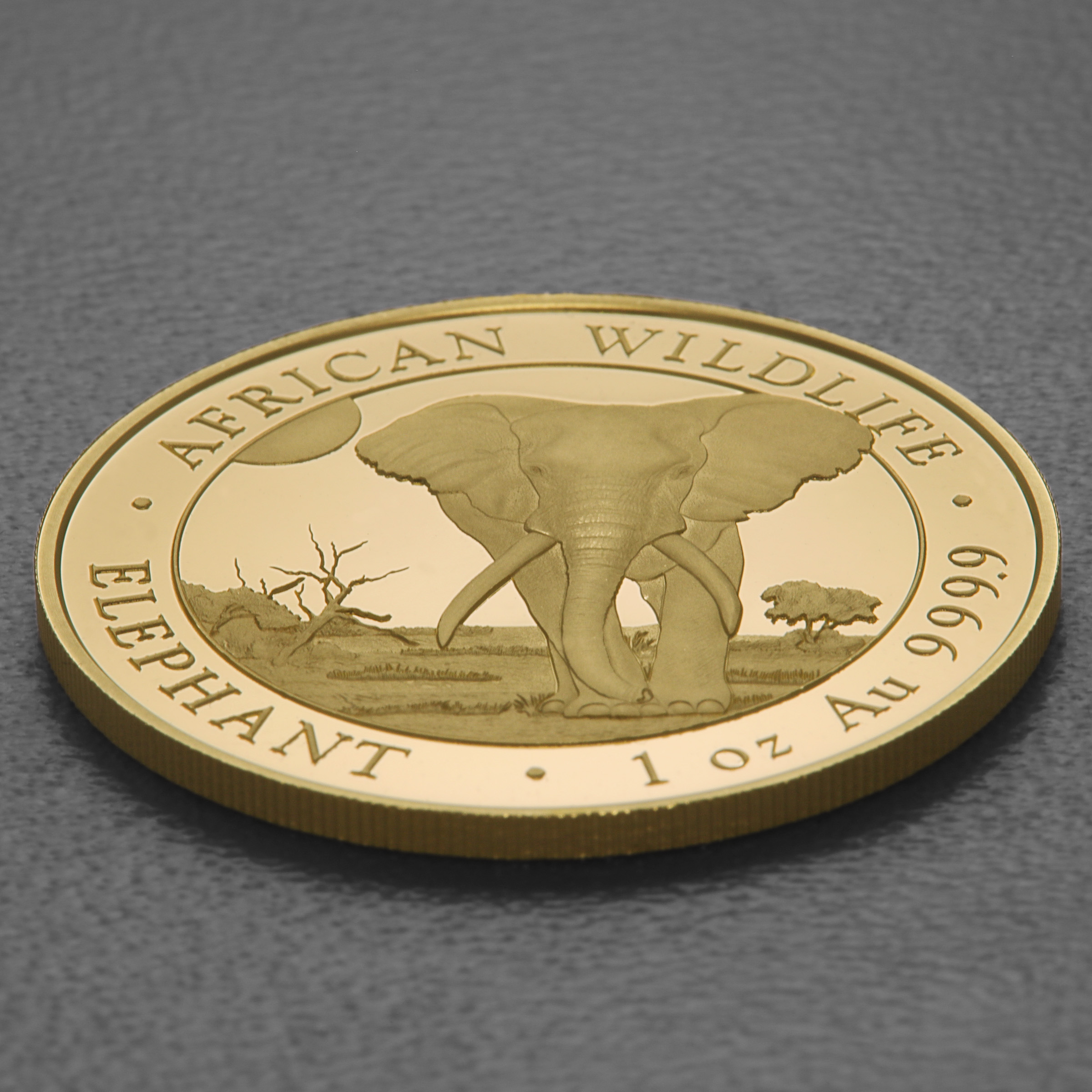 Goldmünze 1oz "Elefant" 2025 African Wildlife (Somalia) - Detailansicht 2