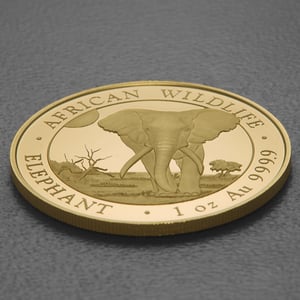 Goldmünze 1oz "Elefant" 2025 African Wildlife (Somalia) - Miniaturansicht 3