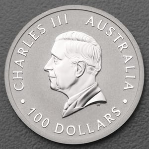 Platinmünze 1oz "Känguru" 19% (Australien) - Miniaturansicht 4