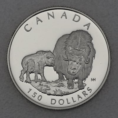 Platinmünze 1/2oz "Muskox" 1999 Wildlife Canada (Kanada) - Miniaturansicht 1