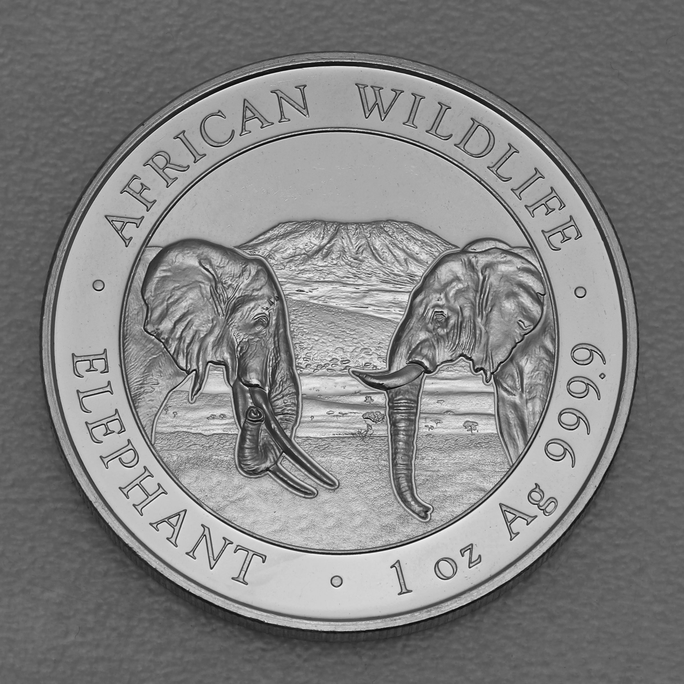 Silbermünze 1oz "Elefant" 2020 African Wildlife (Somalia) - Hauptansicht