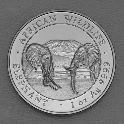 Silbermünze 1oz "Elefant" 2020 African Wildlife (Somalia) - Miniaturansicht 1