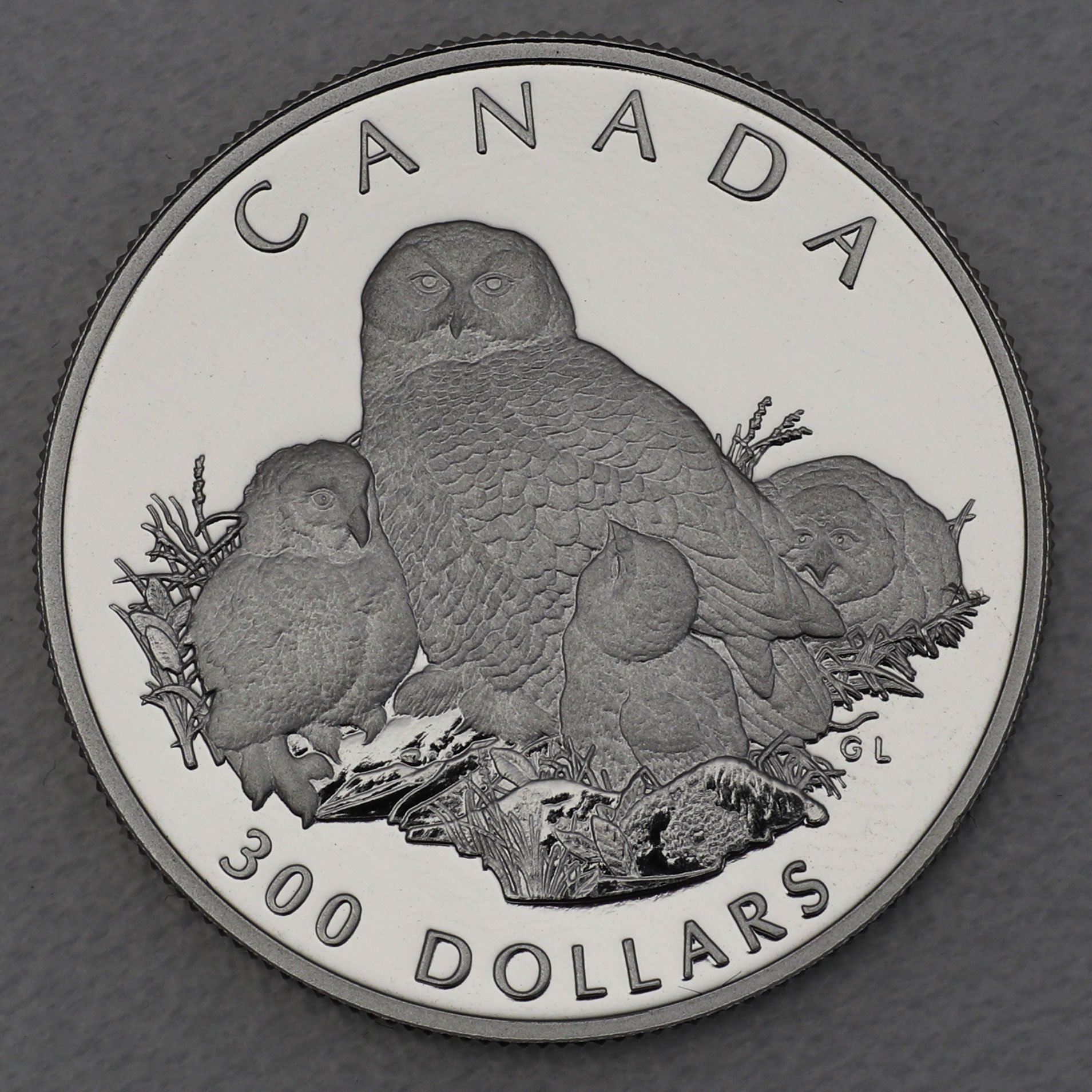 Platinmünze 1oz "Snowy Owl" 1991 Wildlife Canada (Kanada) - Hauptansicht