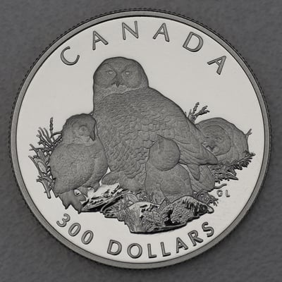 Platinmünze 1oz "Snowy Owl" 1991 Wildlife Canada (Kanada) - Miniaturansicht 1