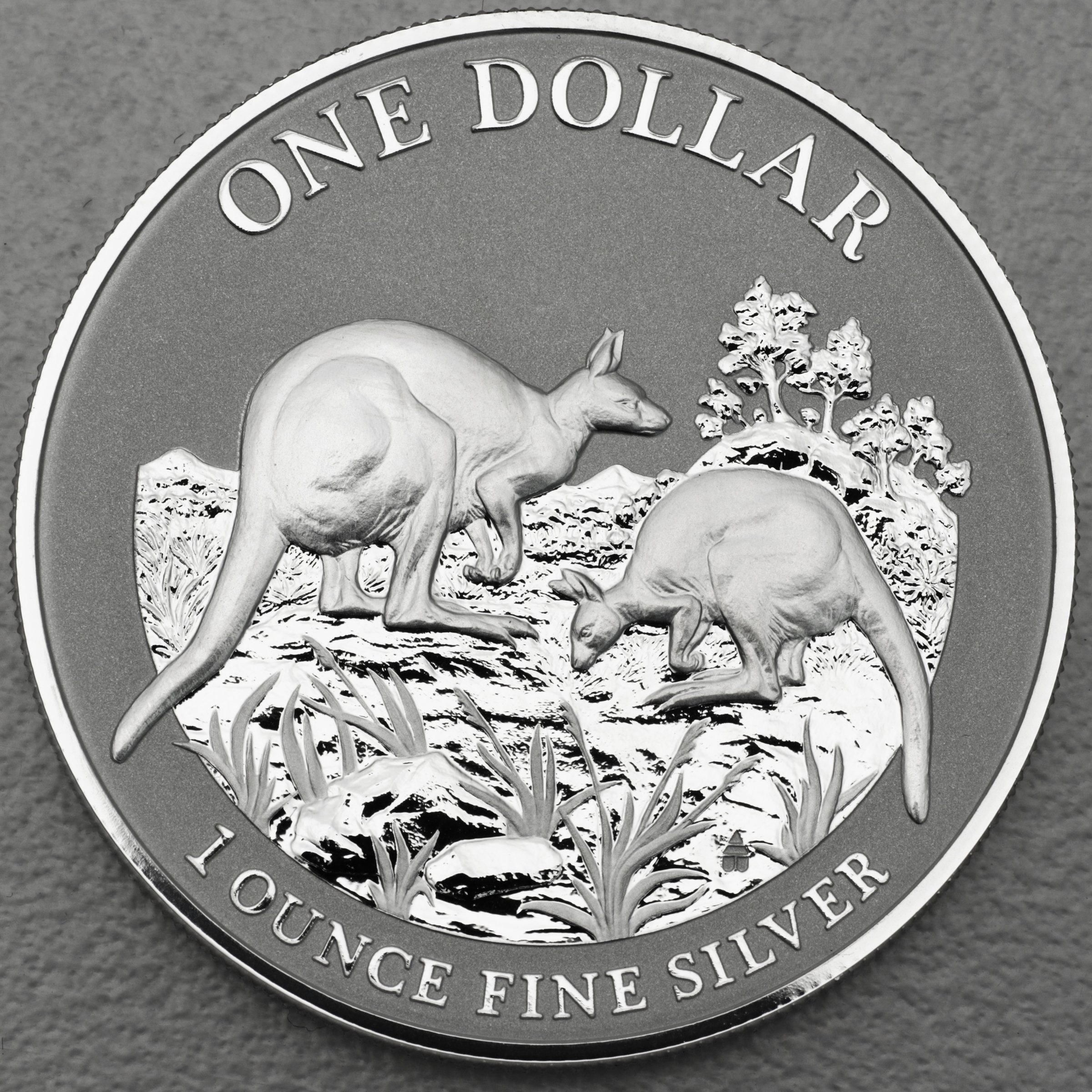Silbermünze 1oz "Känguru" 2014 Royal Australian Mint (Australien) - Hauptansicht