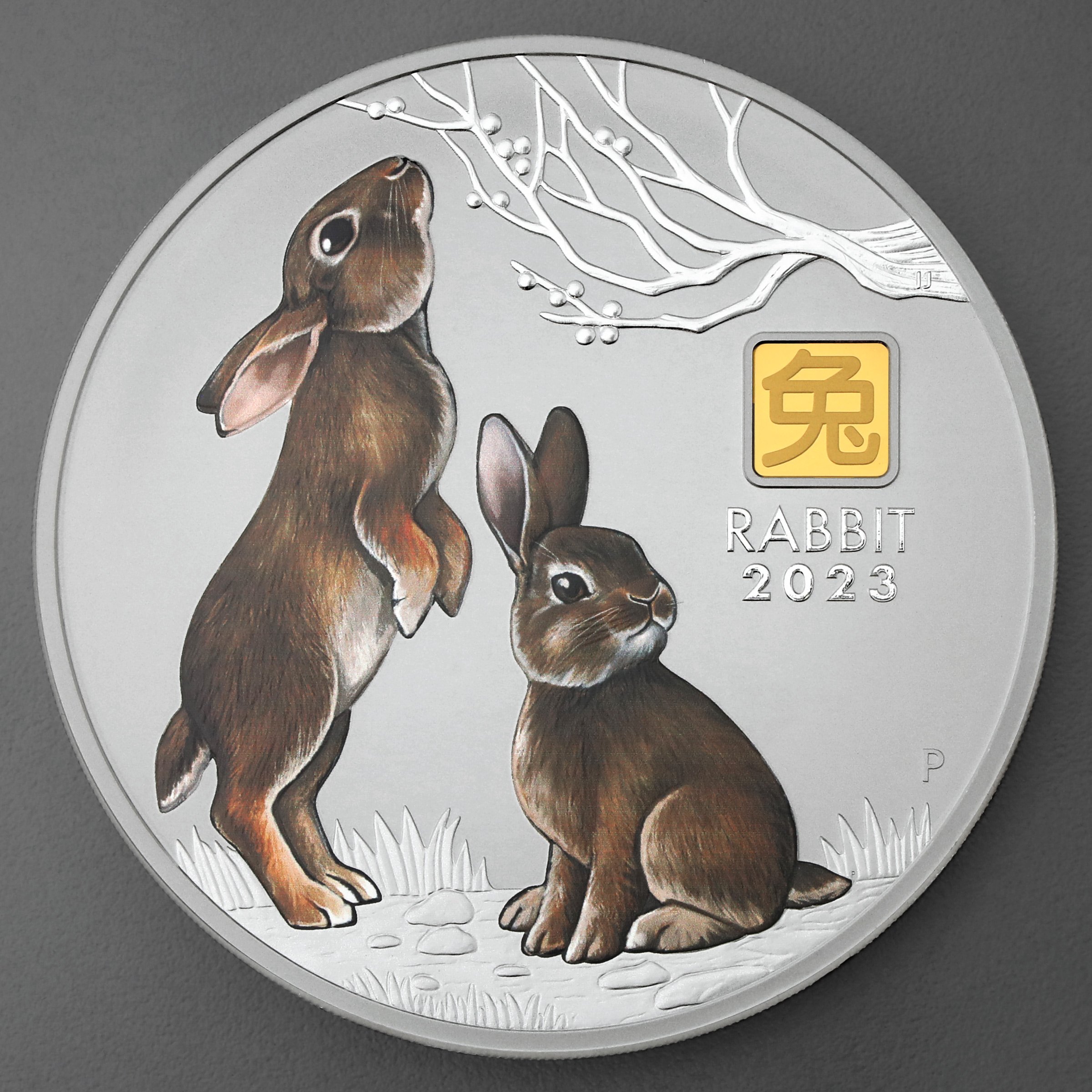 Silbermünze 1kg "Hase" 2023 (koloriert) Gold Privy Mark – Lunar III (Australien) - Hauptansicht