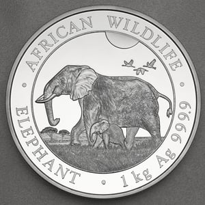 Silbermünze 1kg "Elefant" 2022 African Wildlife (Somalia) - Miniaturansicht 1