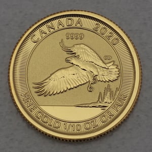 Goldmünze 1/10oz "Adler" 2020 (Kanada) - Hauptansicht