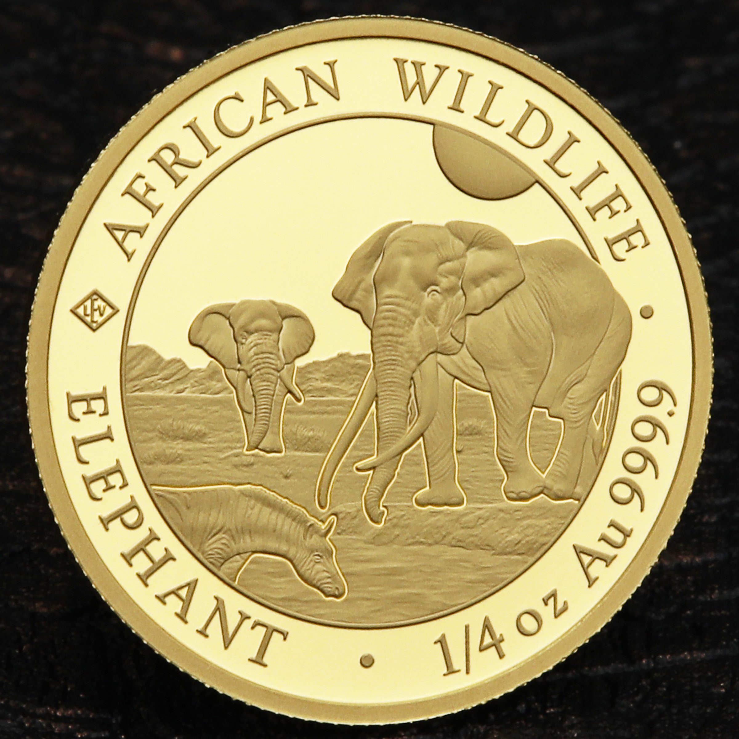 Goldmünze 1/4oz "Elefant" 2026 African Wildlife (Somalia) - Detailansicht 4