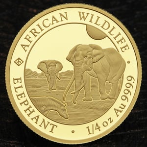 Goldmünze 1/4oz "Elefant" 2026 African Wildlife (Somalia) - Miniaturansicht 5