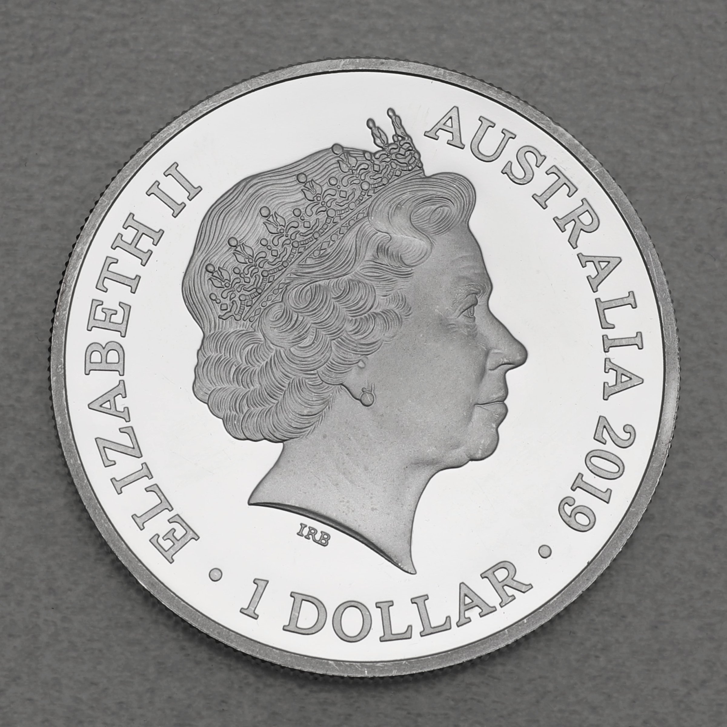 Silbermünze 1oz "Bottlenose Dolphin" 2019 (Australien) - Detailansicht 1