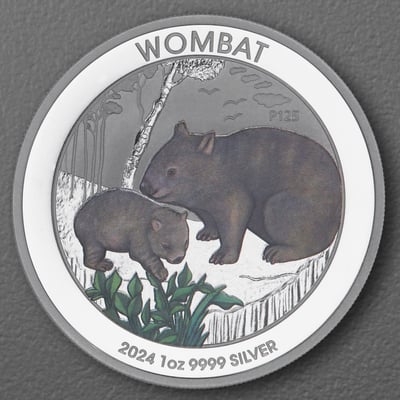 Silbermünze 1oz "Wombat" 2024 (koloriert) (Australien) - Miniaturansicht 1