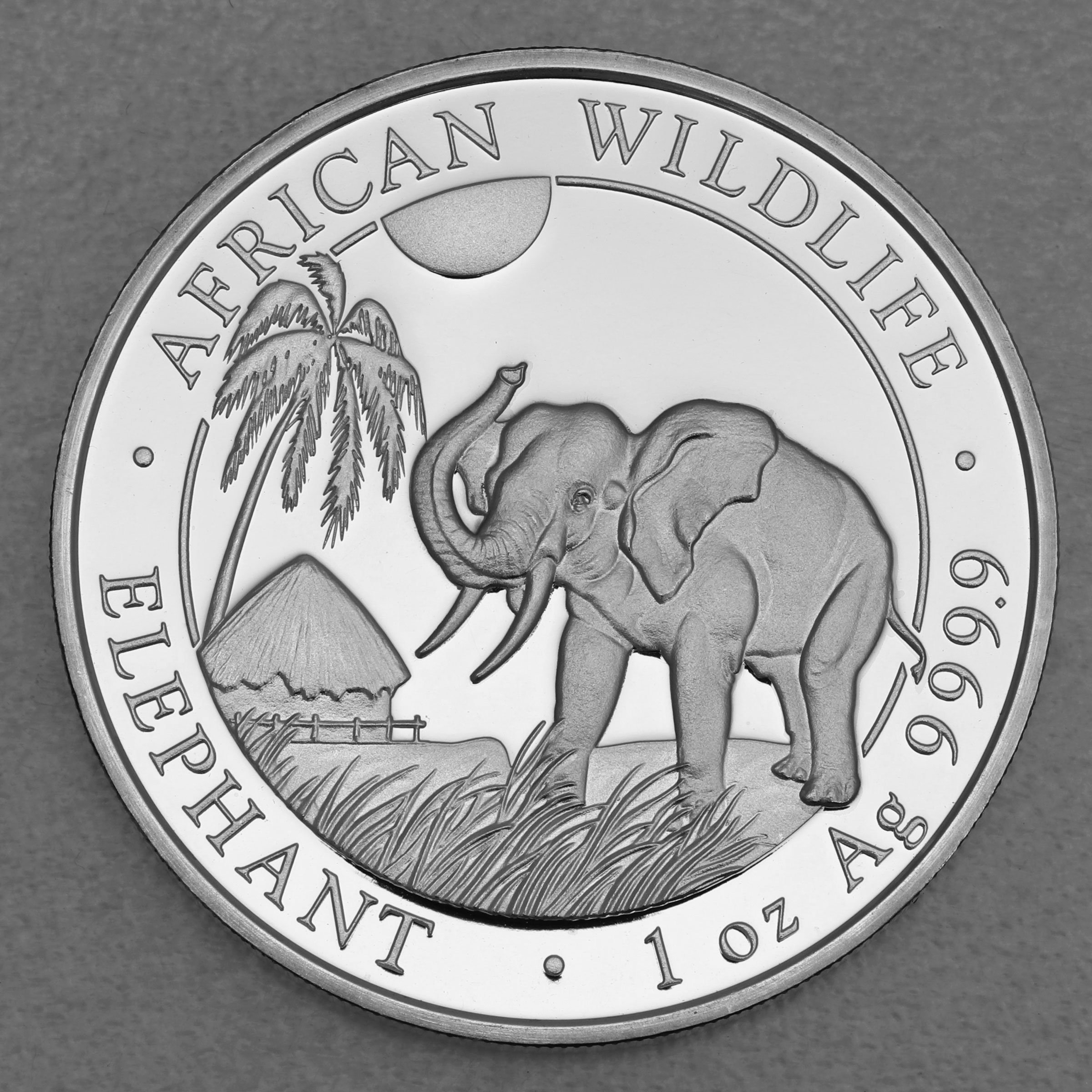 Silbermünze 1oz "Elefant" 2017 African Wildlife (Somalia) - Hauptansicht