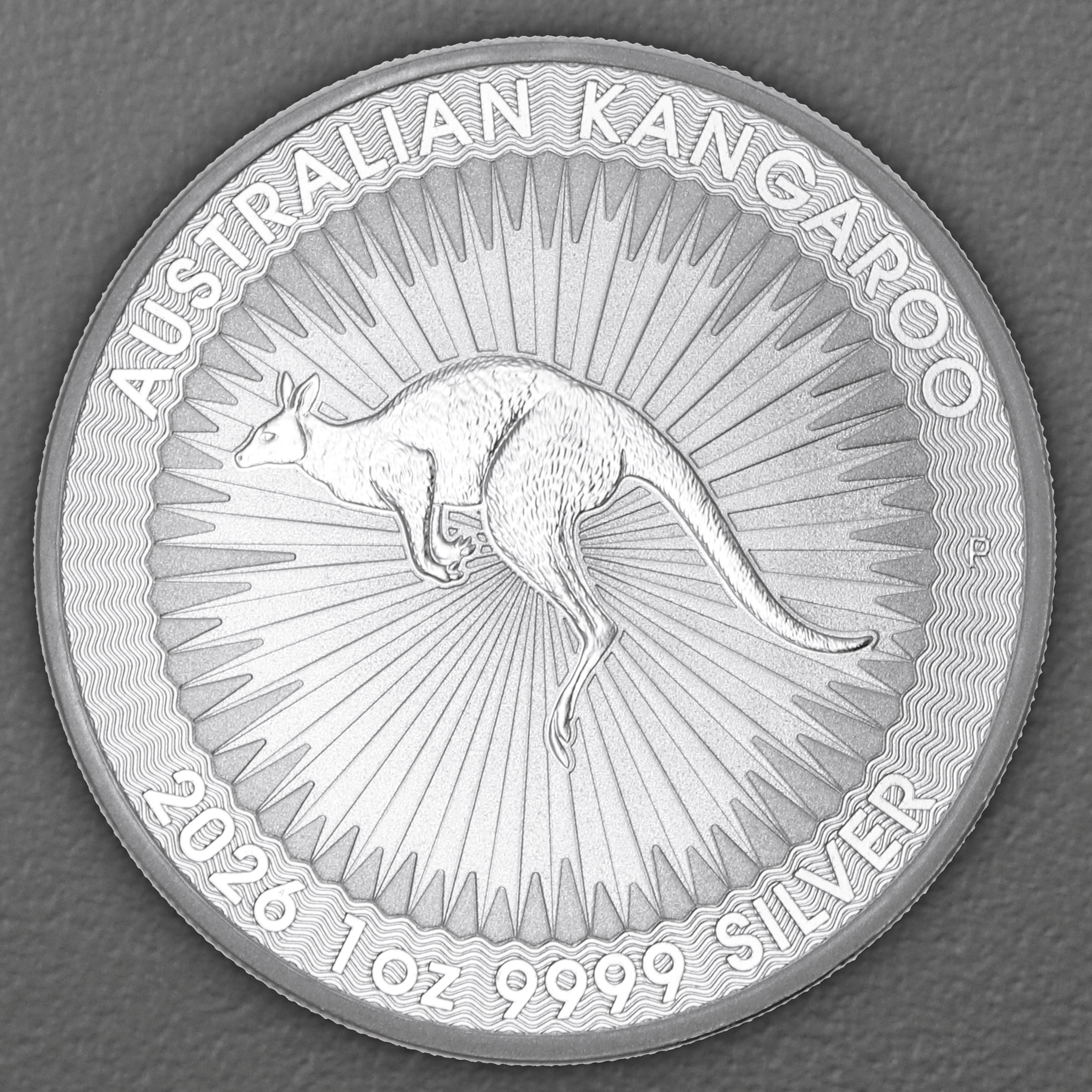 Silbermünze 1oz "Känguru" aktueller Jahrgang 19% (Australien) - Hauptansicht