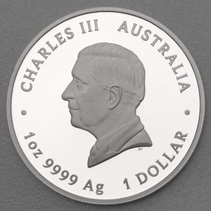 Silbermünze 1oz "One Love" 2024 (PP/koloriert) (Australien) - Miniaturansicht 2