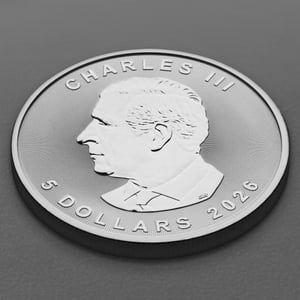 Silbermünze 1oz "Maple Leaf" aktueller Jahrgang 19% (Kanada) - Miniaturansicht 4