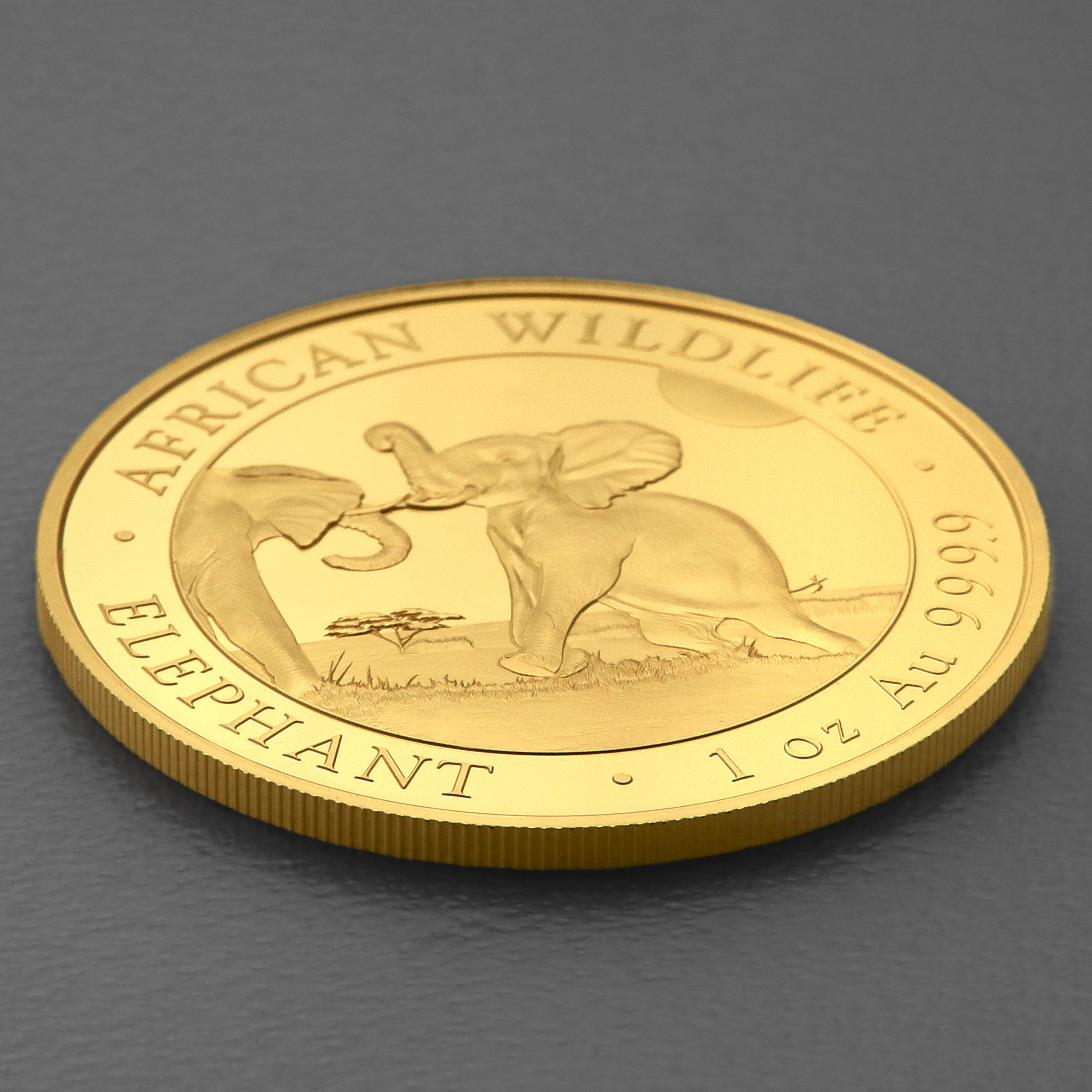 Goldmünze 1oz "Elefant" 2024 African Wildlife (Somalia) - Detailansicht 2