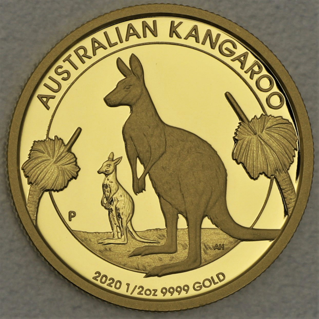 Goldmünzen "Känguru" 2020 (PP) Set – 5-teilig (Australien) - Detailansicht 4