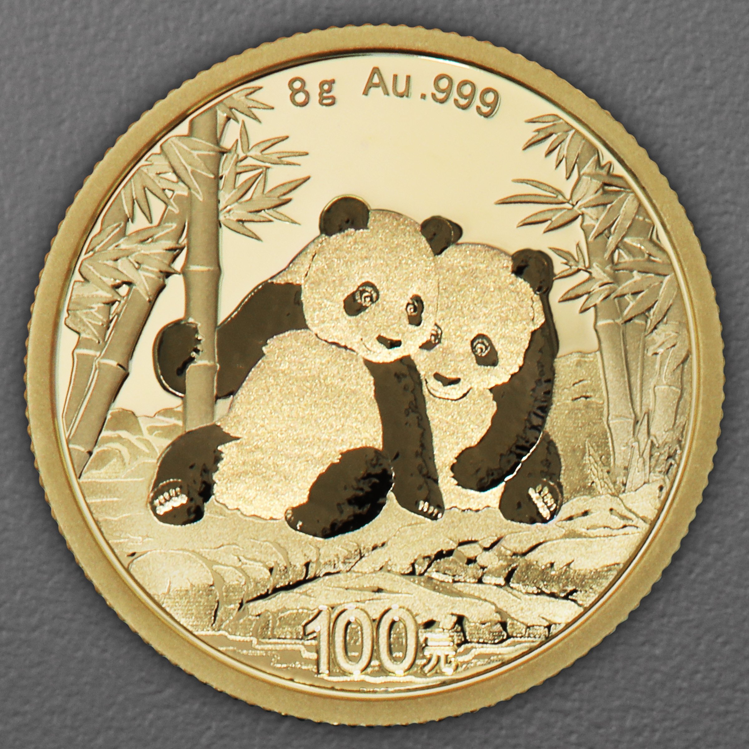 Goldmünze 8g "Panda" 2026 (China) - Hauptansicht