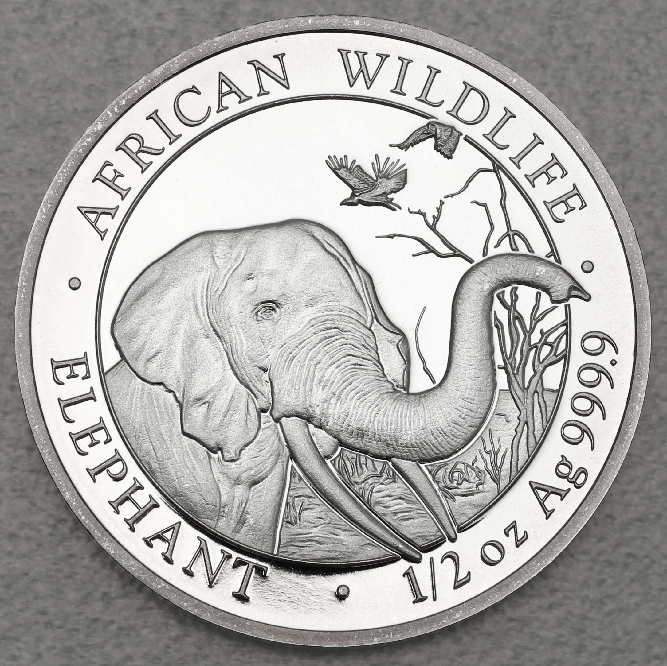 Silbermünze 1/2oz "Elefant" 2018 African Wildlife diff. (Somalia) - Hauptansicht