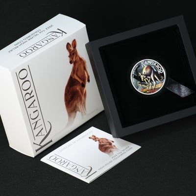 Silbermünze 1oz "Känguru" 2022 (HR/koloriert) (Australien) - Miniaturansicht 3