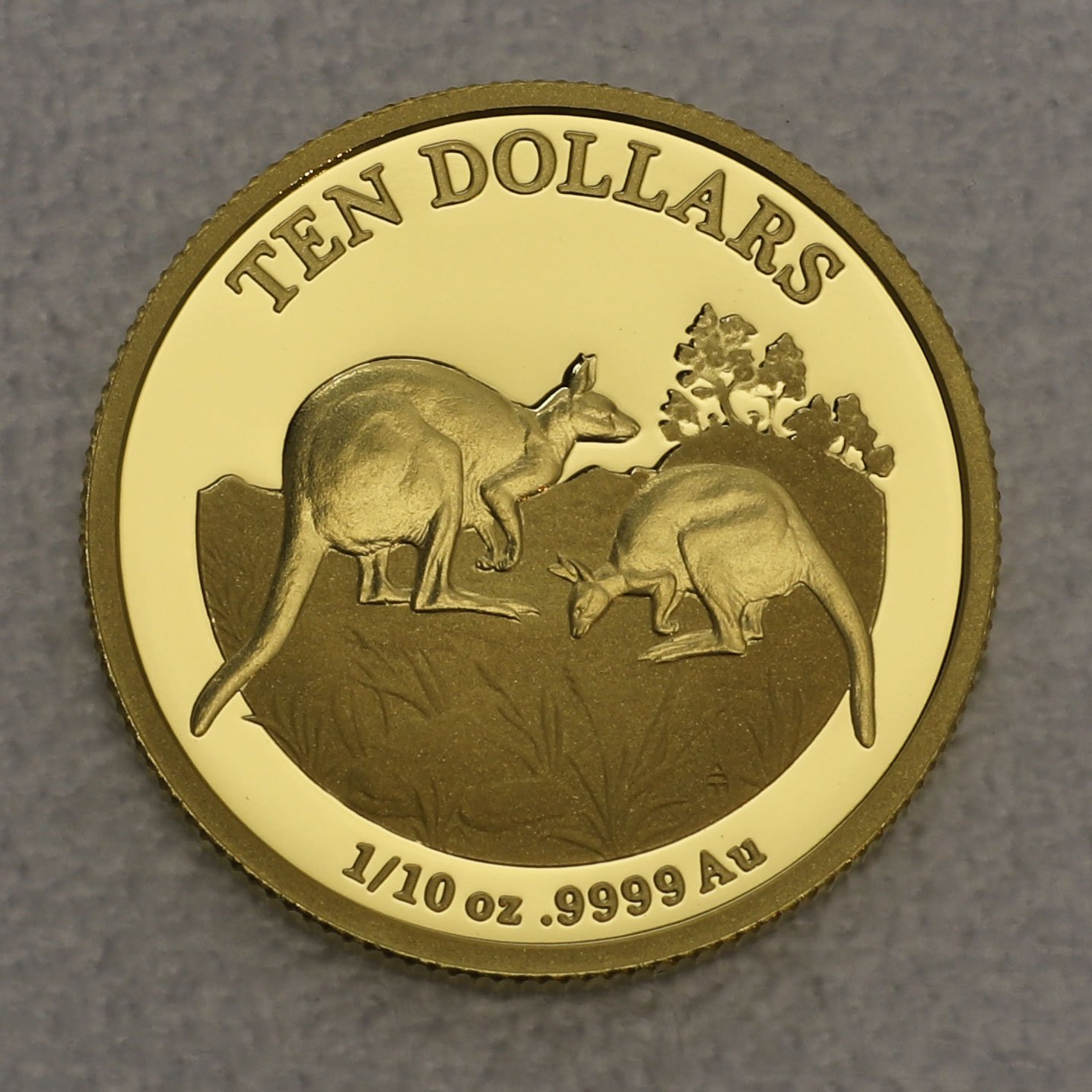 Goldmünze 1/10oz "Kangaroo Series" 2014 Explorers First Sightings Royal Australian Mint - Hauptansicht