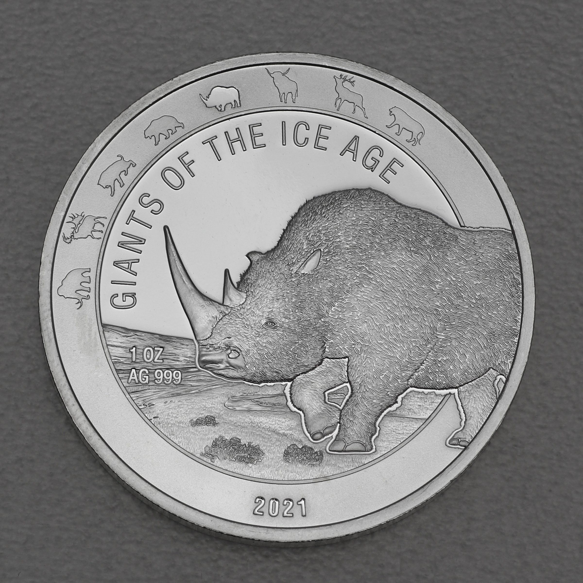 Silbermünze 1oz "Wollnashorn" 2021 Giants of Ice Age (Ghana) - Hauptansicht