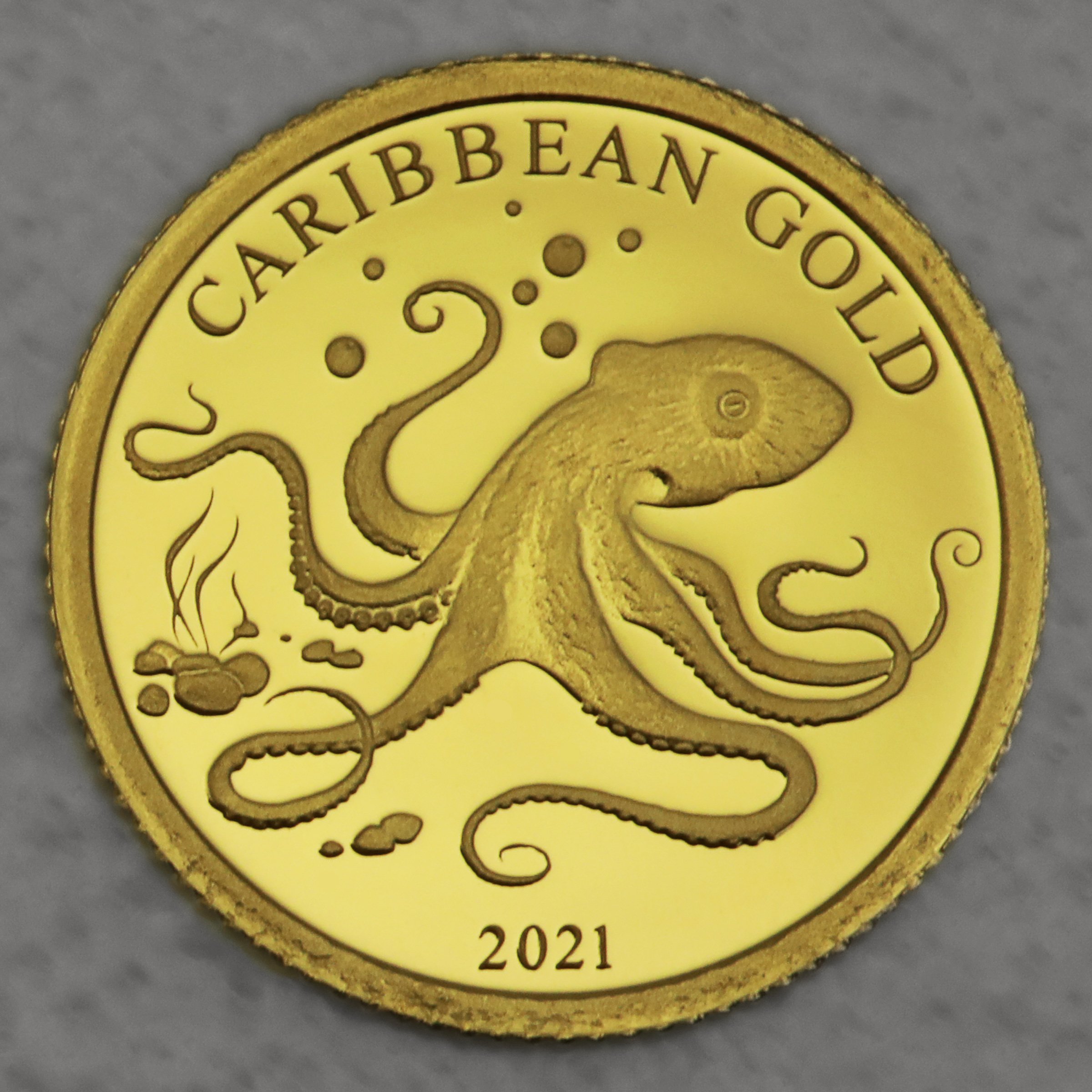 Goldmünze 0,5g "Octopus" 2021 Caribbean Gold (Barbados) - Hauptansicht