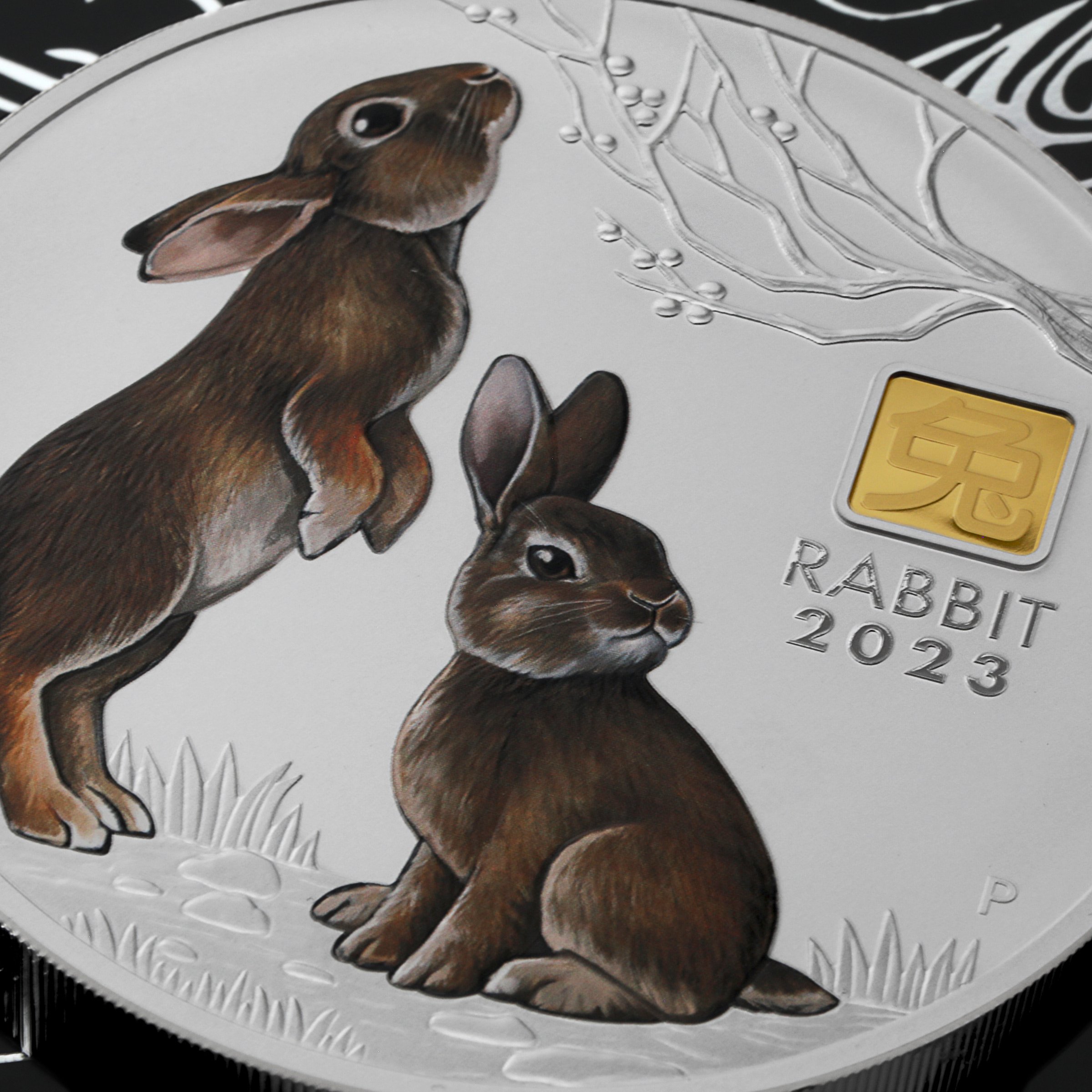 Silbermünze 1kg "Hase" 2023 (koloriert) Gold Privy Mark – Lunar III (Australien) - Detailansicht 4