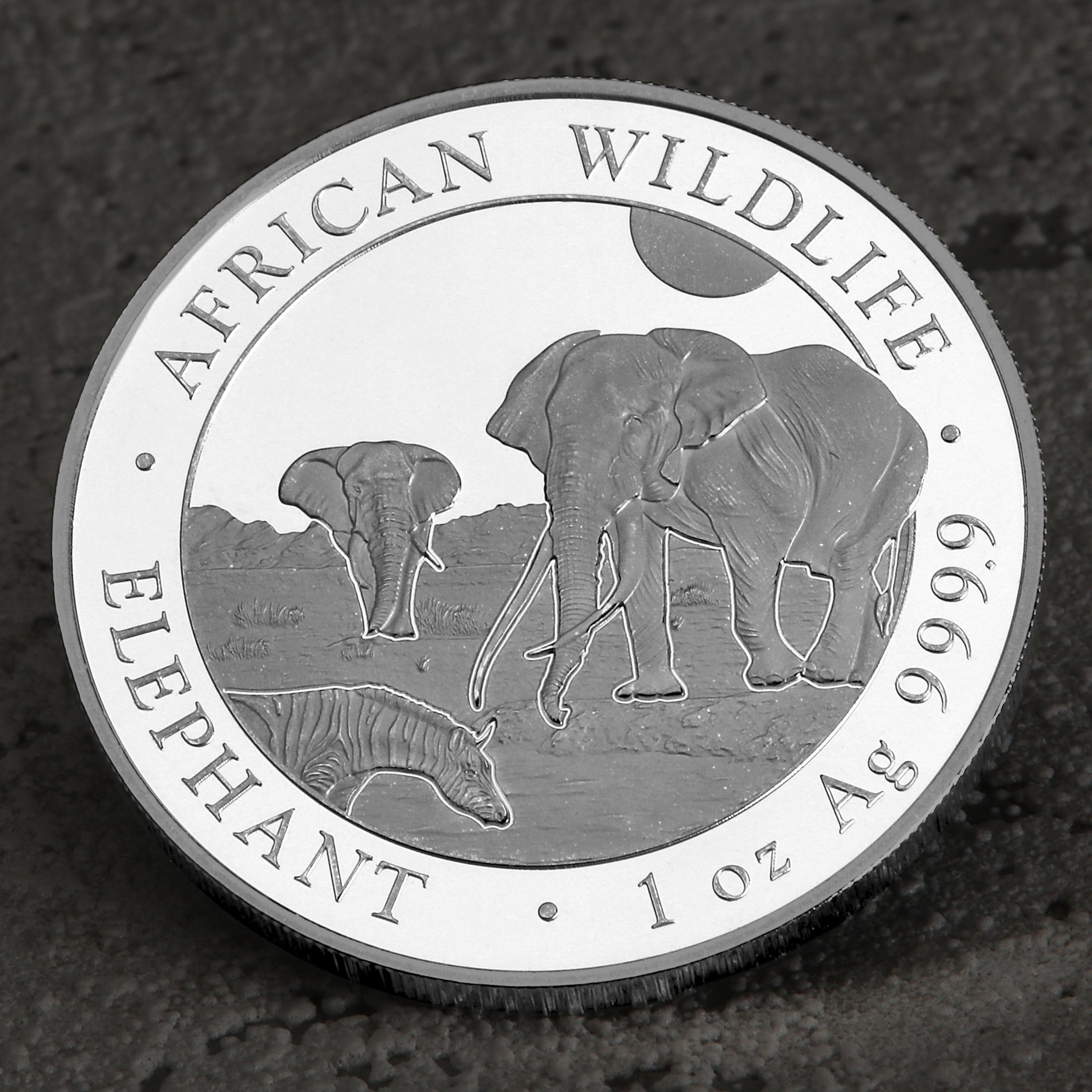 Silbermünze 1oz "Elefant" 2026 African Wildlife 19% (Somalia) - Detailansicht 4