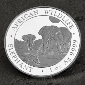 Silbermünze 1oz "Elefant" 2026 African Wildlife 19% (Somalia) - Miniaturansicht 5