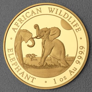 Goldmünze 1oz "Elefant" 2024 African Wildlife (Somalia) - Hauptansicht