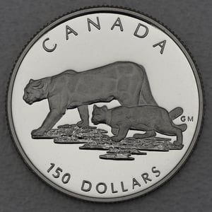 Platinmünze 1/2oz "Puma" 1992 Wildlife Canada (Kanada) - Hauptansicht