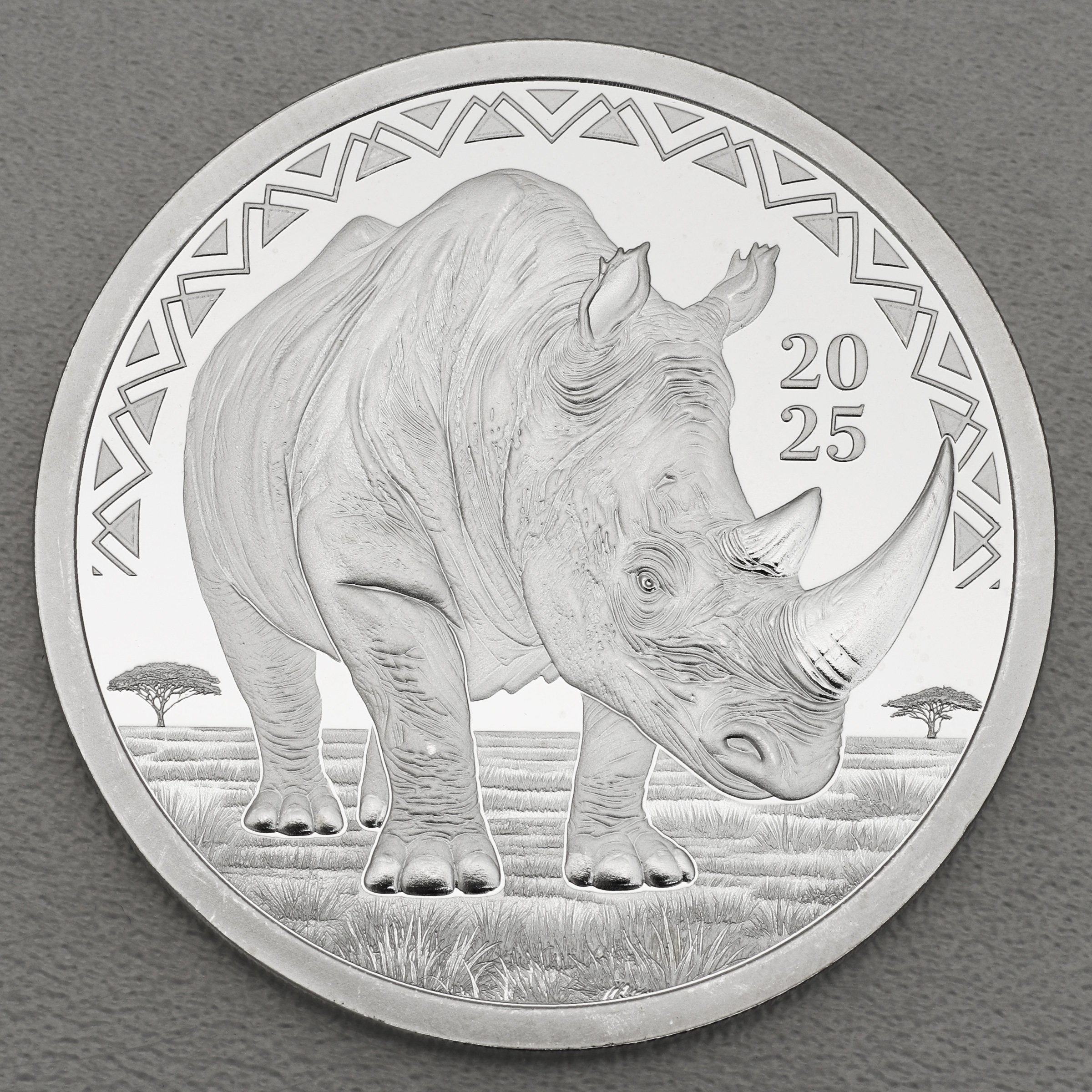 Silbermünze 1oz "Nashorn" 2025 (PP) Big Five (Liberia) - Hauptansicht