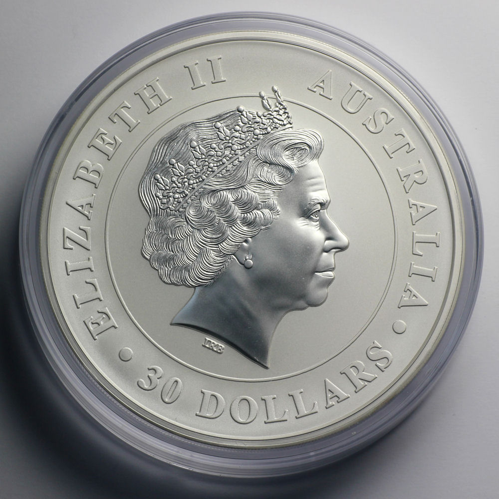 Silbermünze 1kg "Koala" 2014 (Australien) - Detailansicht 1