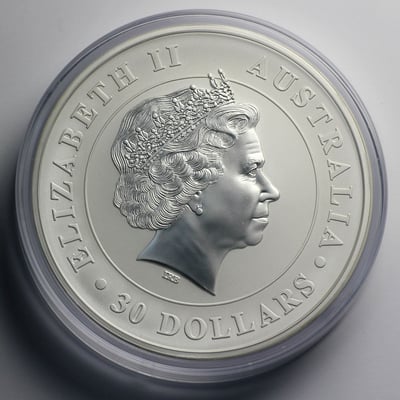 Silbermünze 1kg "Koala" 2014 (Australien) - Miniaturansicht 2