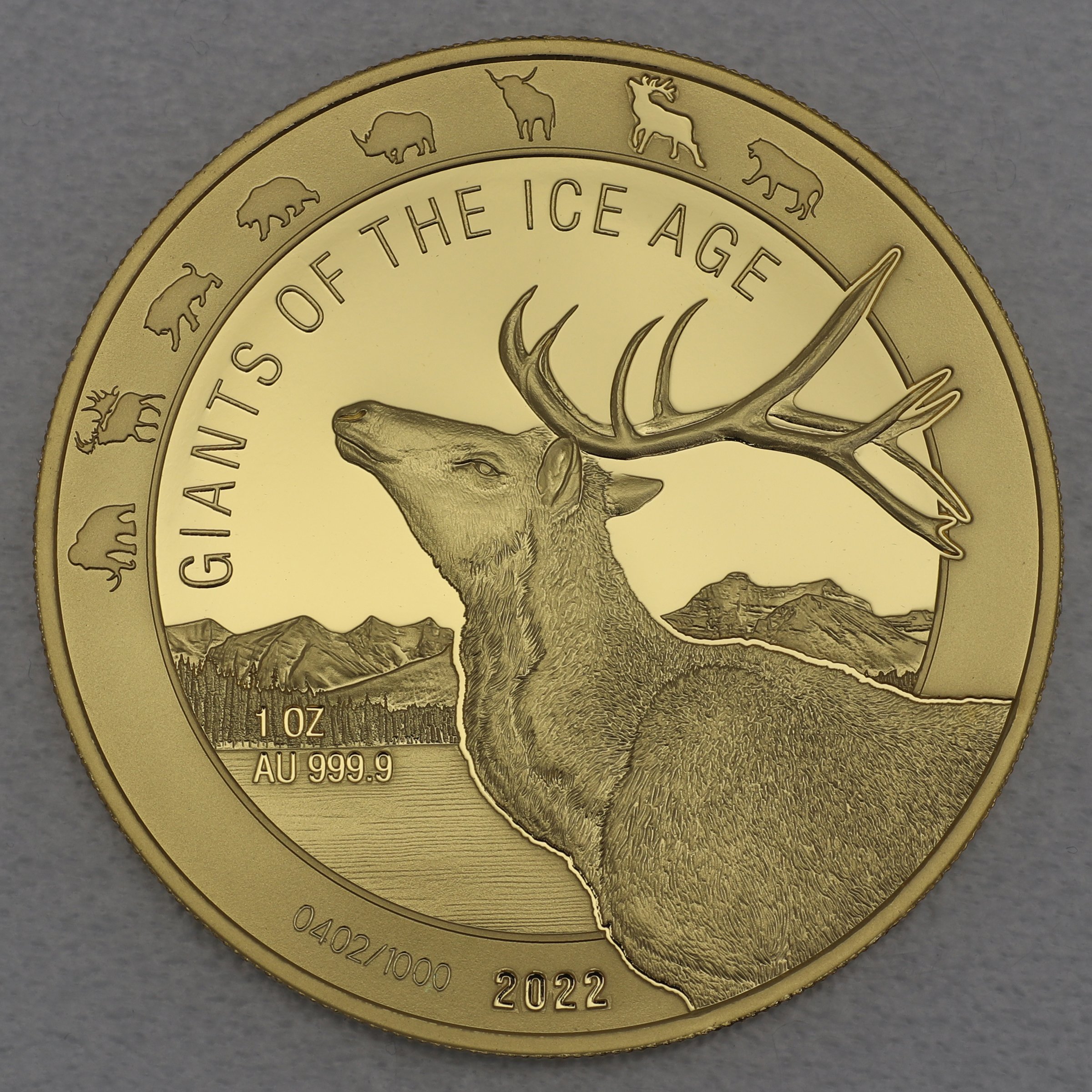 Goldmünze 1oz "Rentier" 2022 Giants of Ice Age (Ghana) - Hauptansicht