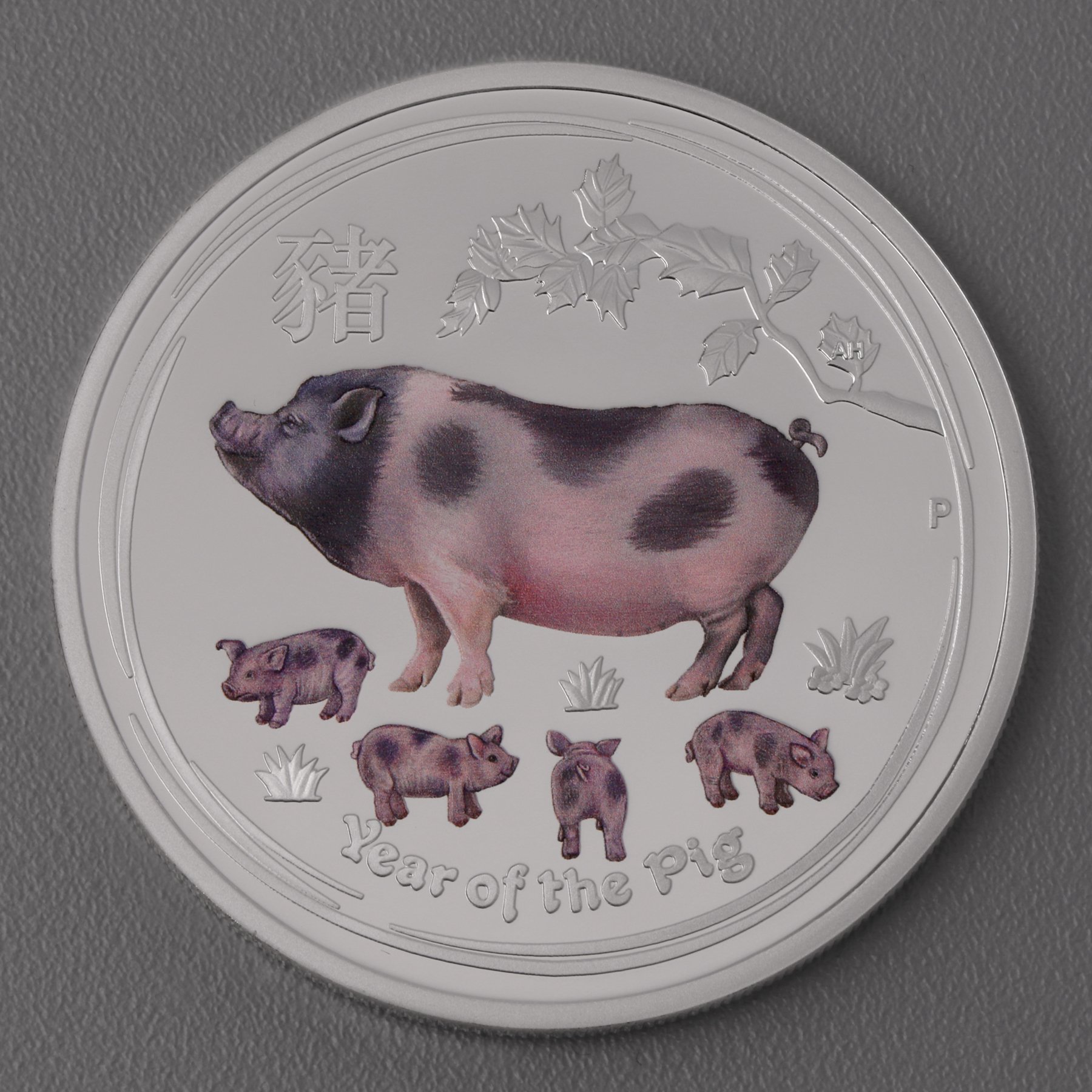 Silbermünze 2oz "Schwein" 2019 (koloriert) Lunar II – Year of the Pig (Australien) - Hauptansicht
