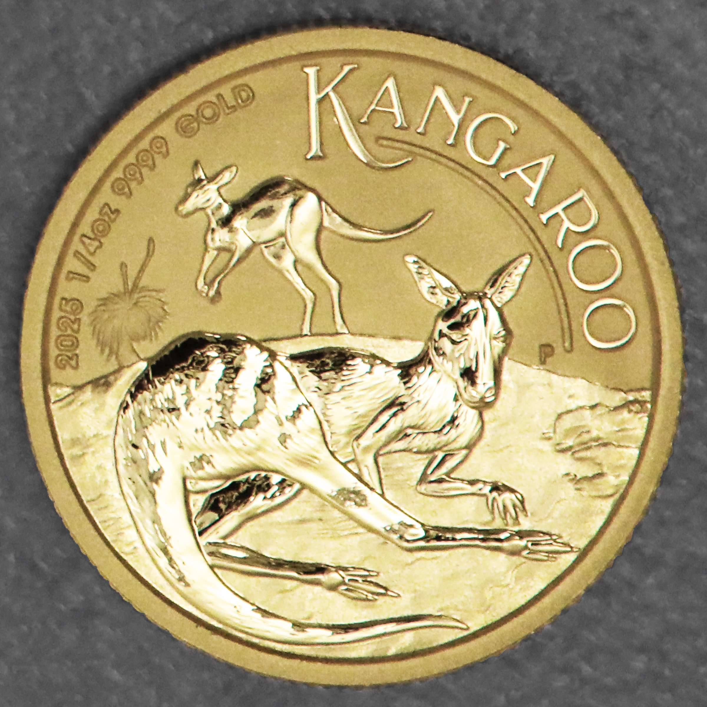 Goldmünze 1/4oz "Känguru" 2025 (Australien) - Hauptansicht
