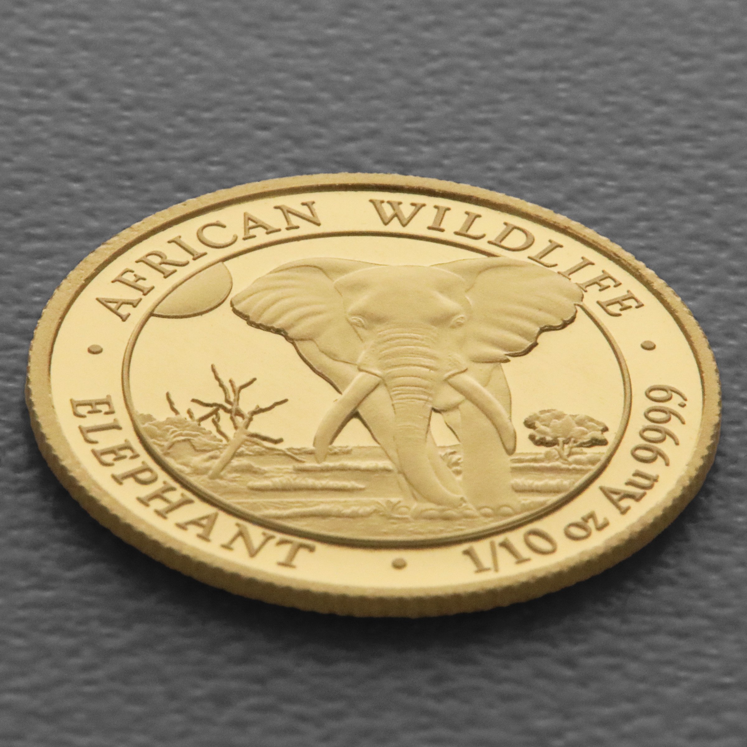 Goldmünze 1/10oz "Elefant" 2025 African Wildlife (Somalia) - Detailansicht 2