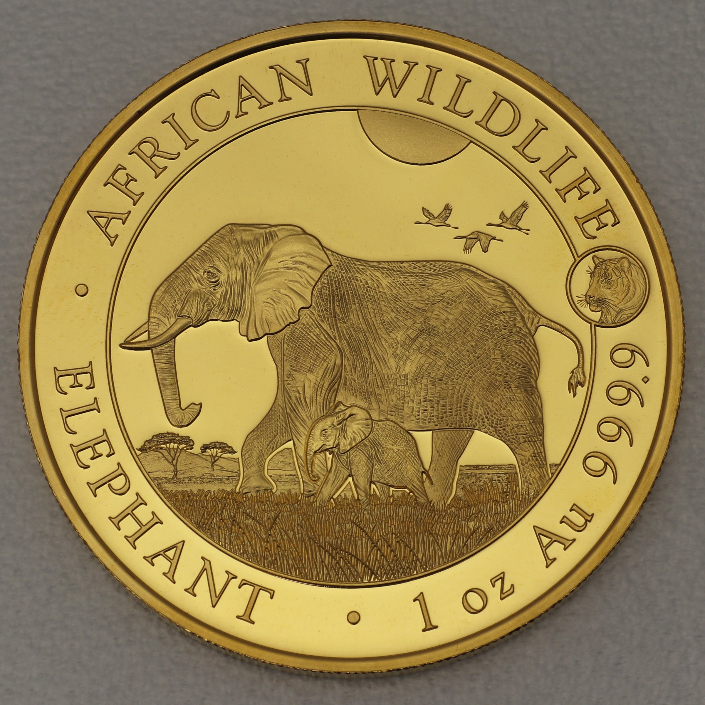 Goldmünze 1oz "Elefant" 2022 Privy Mark – African Wildlife (Somalia) - Hauptansicht