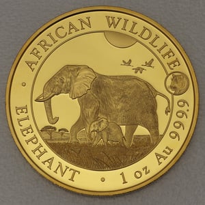 Goldmünze 1oz "Elefant" 2022 Privy Mark – African Wildlife (Somalia) - Hauptansicht