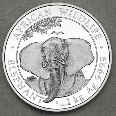 Silbermünze 1kg "Elefant" 2021 African Wildlife (Somalia) - Miniaturansicht 1