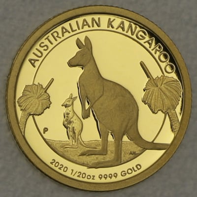 Goldmünzen "Känguru" 2020 (PP) Set – 5-teilig (Australien) - Miniaturansicht 8