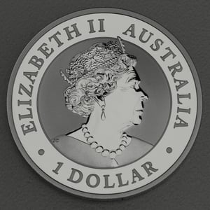Silbermünze 1oz "Kookaburra" 2019 (Australien) - Miniaturansicht 2