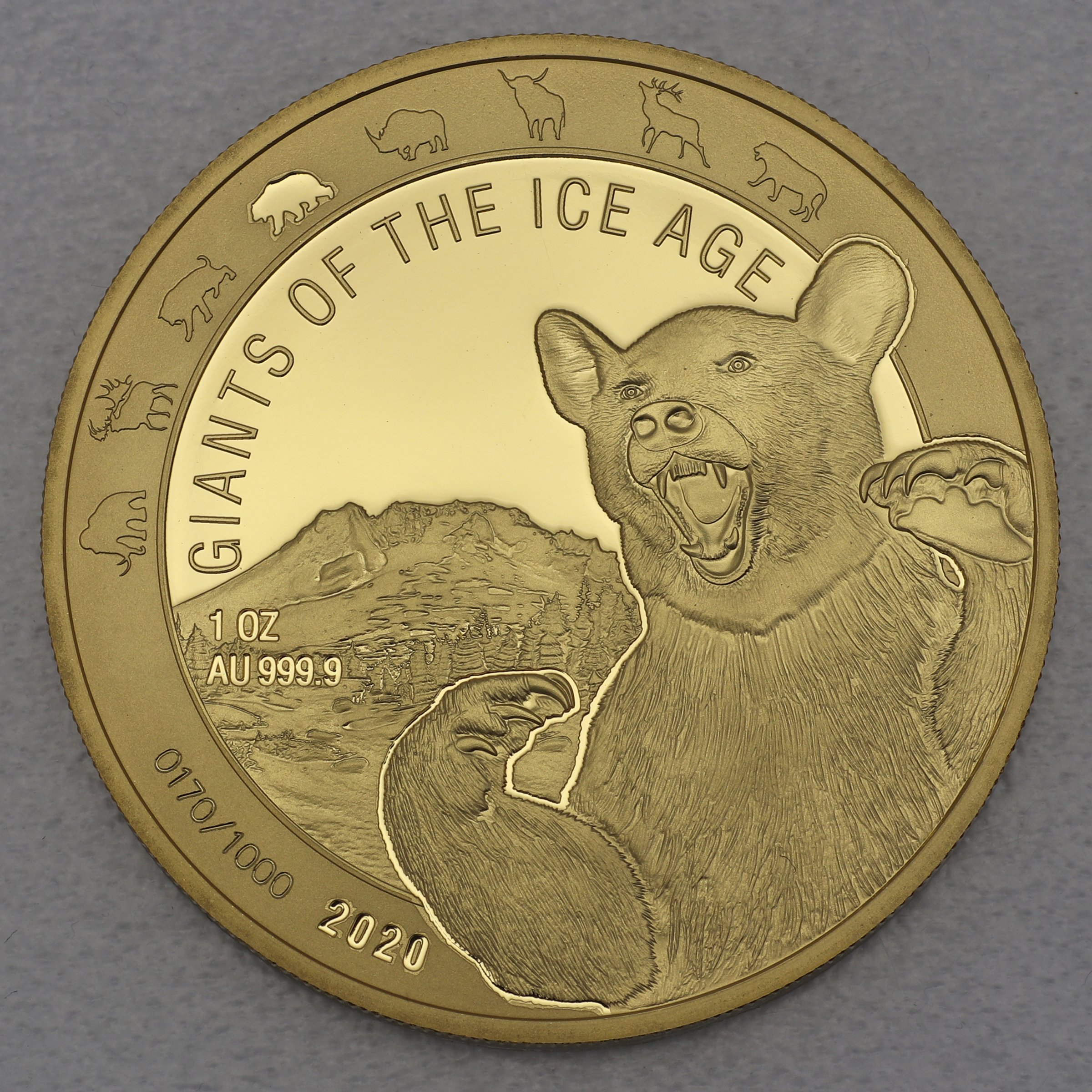 Goldmünze 1oz "Höhlenbär" 2020 Giants of Ice Age (Ghana) - Hauptansicht